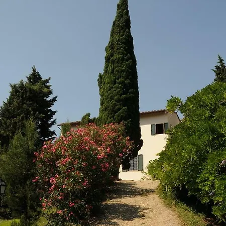Il Bosco