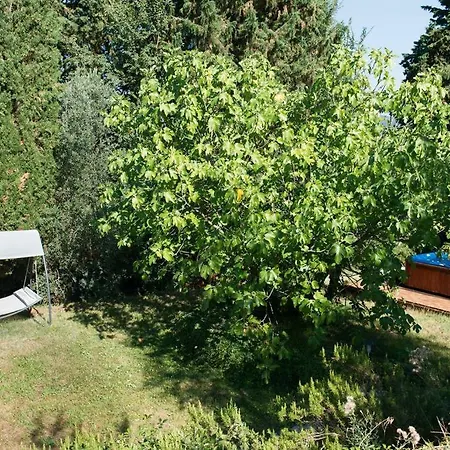 Villa Il Bosco *