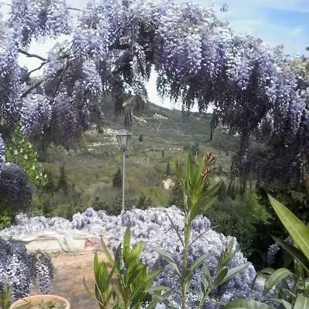 Villa Il Bosco